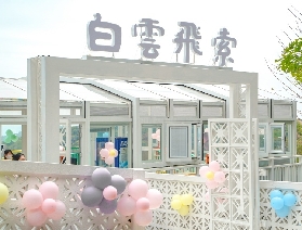 暑假必打卡｜白雲飛索全攻略：3 分鐘飛越山峰的速度與激情