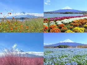 富士山G線小團一日遊｜臺灣人親測！隱藏打卡點+行程順序大公開🤩