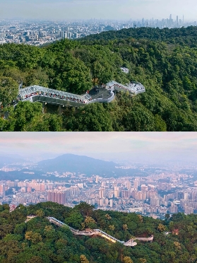 廣州白雲山｜無痛行山の白雲飛索⛰️