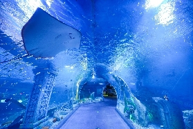 深圳恒遠海立方實測｜9大主題+3大表演，親子遊避坑指南💡