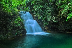 「肇慶黃金溝實測」大灣區森林探險第一站！避坑指南+隱藏玩法✨
