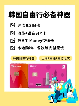 韓國旅遊必看！sim卡一卡解決上網+交通+支付問題