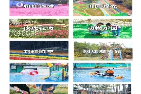 中山坦洲隱藏寶！快活谷門票實測｜避坑+玩法全攻略✨