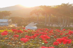 2025中山快活谷親子游玩全攻略