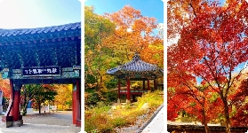【韓國賞楓自由行】10 個首爾楓葉、銀杏景點，紅葉時間預測情報