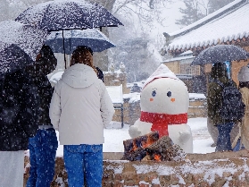 韓國南怡島全攻略｜高空飛索 + 四季秘境，港澳遊客必收藏的一日遊路線