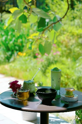 南怡島遊玩全攻略：美景與美食的雙重盛宴