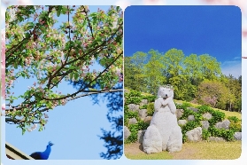 南怡島深度遊玩攻略：解鎖四季秘境與舌尖盛宴