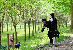 南怡島韓劇迷打卡線：跟著歐巴歐尼解鎖同款浪漫