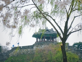 韓國9月水原一日遊：華西門光影盛宴與古城初探