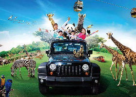 廣州長隆野生動物世界終極攻略：解鎖奇妙動物王國，打造完美親子/朋友之旅！