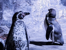 布吉必打卡！中央海洋世界，親子狂歡與海洋奇幻的完美碰撞