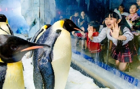 珠海長隆飛船酒店實用指南