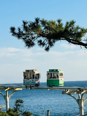 釜山通行證領取全指南：實體卡與電子憑證申領攻略