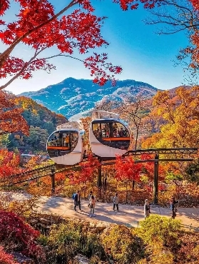 2025最新韓國賞楓攻略（最佳賞楓時間+賞楓必訪景點