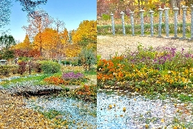 首爾近郊 |南怡島一日遊攻略推薦路線👍🏻