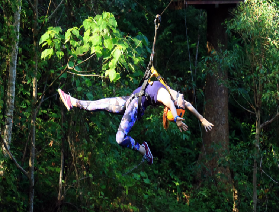 在布吉雨林間 “飛” 起來！飛翔哈努曼 42 站滑索讓你心跳爆表