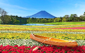 富士山1日遊避坑指南｜3個必註意的細節！別讓小問題毀行程⚠️