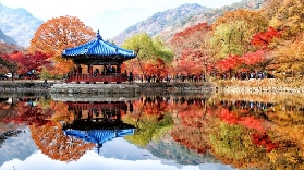 楓葉 | 到韓國內藏山，看漫山紅葉！（附預測圖）