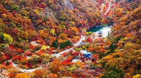 2025韓國必去賞楓勝地，性價比賊高，簽證輕松拿下！（附賞楓預測圖）