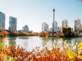 2025首爾近郊，感受紅楓浸染山林的獨特韻味