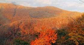 日光的秋天真是一絕，東京周邊賞秋聖地