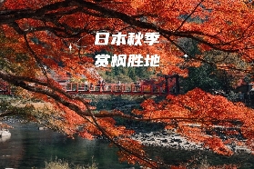 2025日本賞楓勝地｜香嵐溪紅葉盛宴 × 小原四季櫻“櫻楓同框”奇觀 | 秋季限定賞楓賞櫻路線