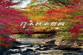 2025日本賞楓必去5大秘境：伊豆半島溫泉紅葉自由行攻略