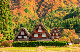 日本必去白川鄉丨現實版童話村，1日避世之旅全攻略