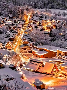 日本白川鄉童話世界攻略🗻（賞楓賞雪）超詳細版（附點燈節時間）