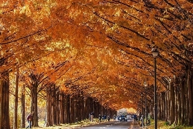 大阪出發滋賀箱館山一日遊｜行程總結與規劃建議📝