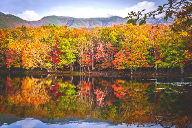 日本 | 2025日本賞楓地圖曝光！最佳賞景地點/時間/行程推薦，秋季追楓看著一篇就夠了！