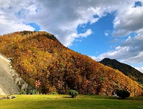 2025日本紅葉開始的地：の北海道賞楓