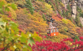 避開人潮！大阪周邊7處賞楓地圖曝光，一起賞楓看銀杏