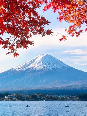 一定要在楓葉季去趟日本，盤點日本紅楓打卡地