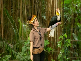 探秘布吉島白鳥主題公園，與靈動飛鳥共赴自然之約