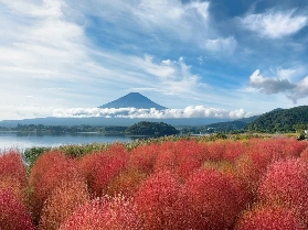 2025日本旅遊紅葉季：賞楓時間+必打卡地推薦！