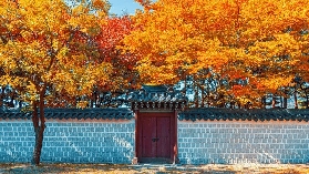 2025首爾賞楓免簽！韓國賞楓季節、10個首爾市區、近郊賞楓景點推薦