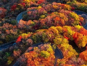 人少！2025國慶日韓賞楓🍁就去這5個地方