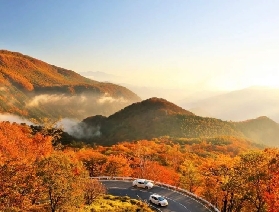 2025韓國賞楓時間預測表，國慶出遊不費力