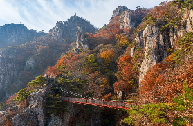 【2025 韓國賞楓攻略】首爾、濟州島、全羅南道賞楓景點/時間推薦