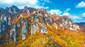 🔥2025韓國紅葉時間預測圖全攻略！賞楓沖沖沖（含江原道地圖、紅楓時間、交通遊玩攻略）