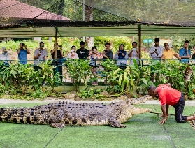 蘭卡威鱷魚公園親子遊+避坑攻略｜趣味科普與避坑指南，帶娃玩轉鱷魚世界！