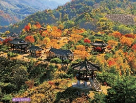 2025最新韓國忠清北道及大田必去賞楓景點（含地圖、交通、觀賞時間、遊玩攻略等）