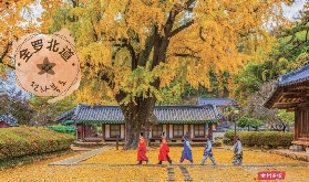 2025韓國全羅北道必去紅楓觀賞地（含交通、紅楓預測、地圖、景點照）