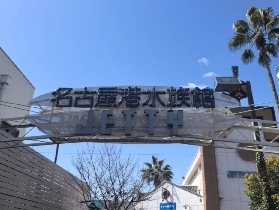 名古屋港水族館門票實測｜平價選品避坑指南✨