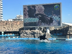 名古屋港水族館必看避坑指南｜3個常見錯誤別犯⚠️