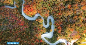 2025韓國紅楓必去地（慶州、大邱含交通、紅楓時間、景點介紹）