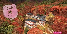 2025韓國賞楓攻略（大邱、釜山交通、賞楓地、交通、紅楓預測、地鐵路線）趕緊碼住！