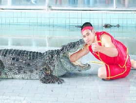 芭堤雅雲石公園全攻略：8 場鱷魚表演 + 奇石園林，HKD93 暢玩，附定位 & 退改規則